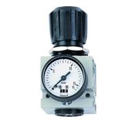 Schneider Réducteur de pression Schneider DM 3/4 W Quantité:1