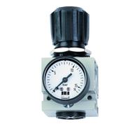 Schneider Réducteur de pression Schneider DM 3/8 W Quantité:1