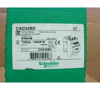 Schneider Télémécanique CAD32BD Contrôle Relais 24VDC 10 Amp-Factory Scellé