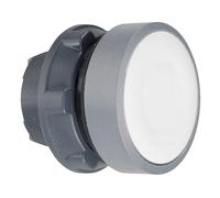 Schneider TÊTE PULS.BLANC COL.GR.COUSTO. marque