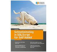 Schnelleinstieg In Sqlscript Für Sap Hana