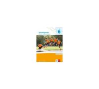 Schnittpunkt Mathematik 6. Schulbuch Klasse 6. Differenzierende Ausgabe Nordrhein-Westfalen