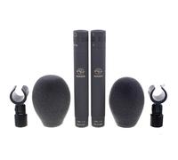 Schoeps Schoeps Stereo-Set MK 21