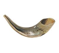 Schofar Jérusalem Shofar Kippour Chofar Kippur fabriqué à la main en corne de bélier torsadée polie naturelle