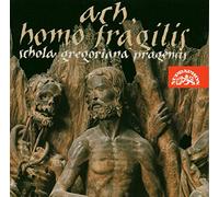 Schola Gregoriana Pragensis : ACH, Homo Fragilis-Chants Religieux du Moyen Âge (14e S.)