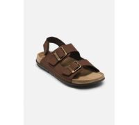 Scholl Aberdeen Man Sandal Comfort pour 43 Marron