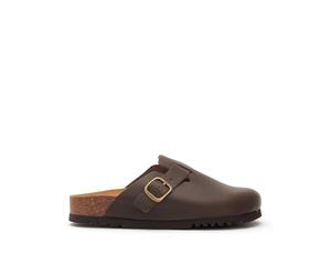 Scholl FAE New