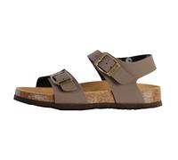 Scholl JEAN Synthetic rown