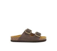 Scholl Josephine New