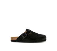 Scholl Olivier New