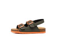 Scholl TURTLE Synthetic Khaki/Orange