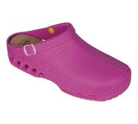 Scholl Zueco Evo Fucsia 40 1 Par