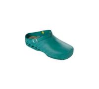 Scholl Zueco Evo Verde Talla 47 1 Par