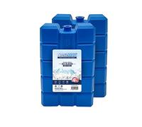 Schone Lot de 2 Blocs de Glace épais de 400 ML - Liquide de Refroidissement Qui Reste Simplement congelé Plus Longtemps