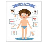 School Children Learning Poster My Body Educational Chart Human Anatomy Fabric Wall Decor for Classroom Homeschool Early Learners(Unframed,12x18inch(30x45cm))