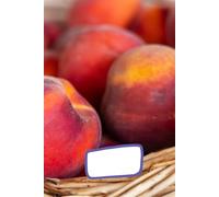 School notebook: Composition notebook, Cook recipe project, Garden planner