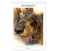 Schorschi - Ein Jahr mit dem bayrischen Rauhhaardackel (Tischkalender 2026 DIN A5 hoch), CALVENDO Monatskalender: Entdecken Sie die charmante Welt des Rauhhaardackels namens Schorschi!