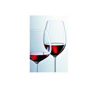 Verre à Vin Bourgogne Schott Zwiesel Ivento (6 Pièces)