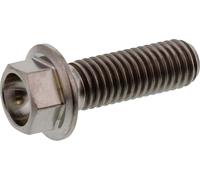 Schraube JMP 6 Kant Bolt M8x1,25 25mm Titan für Aprilia Leonardo SR Stealth LC RX MX Sportcity , Derbi Rambla 2 1 RS4 i.e. Senda R 4V DRD / SM Sport