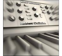 Schroeder,Robert - Ambient Occlusion [Import]