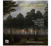 Schubert / Feltsman - Piano Works Vol. 7 [Compact Discs]