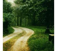 Schubert - Lieder : Chants d'adieu et de voyage