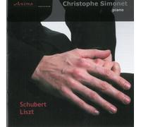 Schubert liszt