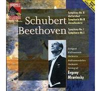 Schubert - Symphony No.8 in B Minor