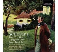 Schubert Piano, Arpeggione, Trio À Cordes