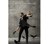 Schuberts „winterreise“