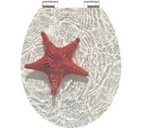 SCHÜTTE 80541 Red Starfish abattant WC