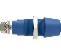 Schützinger DI SAB 9430 Ni / BL Prise en saillie de sécurité droit bleu 1 pc(s)