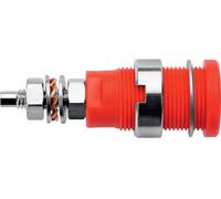 Schützinger DI SEB 6446 Ni / RT Prise encastrée de sécurité rouge 1 pc(s)