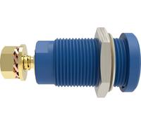 Schützinger DI SEB 9424 Au / BL Prise encastrée de sécurité droit bleu 1 pc(s)