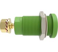 Schützinger DI SEB 9424 Au / GN Prise encastrée de sécurité droit vert 1 pc(s)