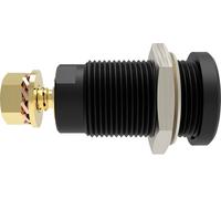 Schützinger DI SEB 9424 Au / SW Prise encastrée de sécurité droit noir 1 pc(s)