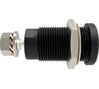 Schützinger DI SEB 9424 Ni / SW Prise encastrée de sécurité droit noir 1 pc(s)