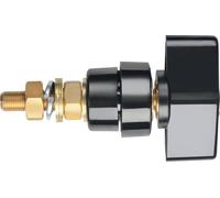 Schützinger POL 102 / SW Borne de polarité noir 100 A 1 pc(s)