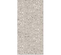 Schulte pack de 2 panneaux muraux 100x210cm, revêtement hydrofuge salle de bains, placement facile, DécoDesign, ceppo di gré greige