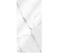 Schulte pack de 2 panneaux muraux 100x255cm revêtement hydrofuge pour paroi de douche placement facile, DécoDesign, parement ardoise