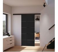 Schulte porte coulissante en verre, 90x203cm, porte coulissante intérieure, sablé anthracite, double amortisseur softclose