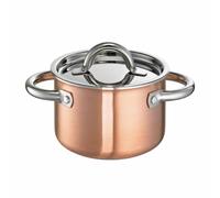 Schulte-Ufer De Luxe i pot à viande, cocotte, acier inoxydable, 16 cm, 2 L, 9...
