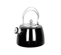 Schulte-Ufer Flötenkessel Louis 2,6 l Ø20cm Edelstahl