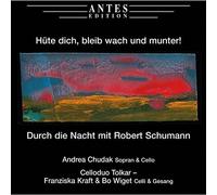 Hute Dich, Bleib Wach Un Munter! Durch Die Nacht Mit Robert Schumann