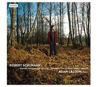 Schumann : Grande Humoresque, Sonate n° 1