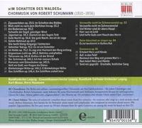 Schumann: Im Schatten
