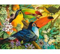 Schwagebo 1500 Pièces - Coloré Puzzles - Pictures - Gifts - Animal Ramphastos tocosss Painting - Alzheimer Games for Adults - Décoration Murale - Jk442Zp