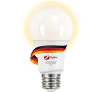 SCHWAIGER HAL100 SCHWAIGER-HAL100-Ampoule dimmable | Ampoule LED Intelligente Chaud | système d'éclairage | Smart Home, E27, 9 W, Argenté/Blanc