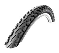 Schwalbe