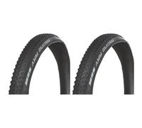 Schwalbe 51629 - Copertone pneumatico Racing Ray Performance TUBLESS, B/B (Lot de 2)